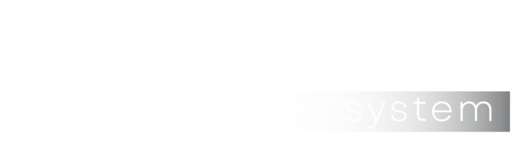 Logo Capelozza System